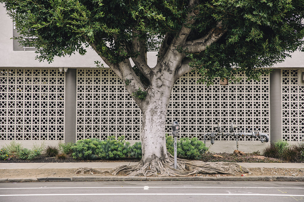 In the Neighborhood | ZO Downtown Oakland Apartments